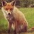 :iconmercurypowder: