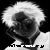 :iconmercurypridestar: