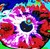 :iconmercuryzombie: