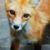 :iconmercy-waters: