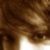 :iconmeredith-xxi: