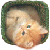 :iconmeredithstells: