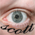 :iconmerelyscott: