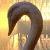:iconmerenwen-melwasul: