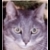:iconmerindar: