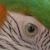 :iconmerithaya: