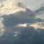 :iconmeriya-shane: