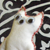 :iconmerkaba-foxette: