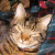 :iconmerkinsmum: