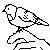 :iconmerle-noir: