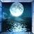 :iconmerlis-of-the-sea: