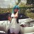 :iconmerluv89: