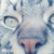 :iconmermaidkittyy:
