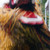 :iconmeroll: