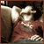 :iconMerrwizard: