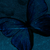 :iconmeryllyn: