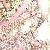 :iconmeshika: