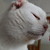 :iconmessiah220: