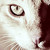 :iconmessy250: