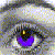 :iconmeta4: