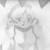 :iconmetaknight13: