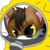 :iconmetal-over-lord: