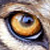 :iconmetal-wolves: