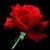 :iconmetalbloodrose: