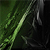 :iconmetalgfx: