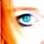 :iconmetalhead-fuu: