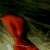 :iconmetalicalizedlies: