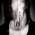 :iconmetallico: