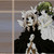 :iconMetaltrixi7: