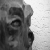 :iconmetalurgicznyoblok: