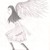 :iconmetalwing15: