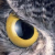 :iconmetalyric: