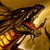 metarydly7111 :iconmetarydly7111:
