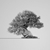 :iconmetaxus: