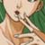 :iconmeteor-star: