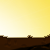 :iconmeteoratc: