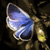 :iconmeteoro-nayade: