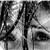 :iconmetermaid08: