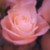 :iconmetery: