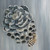 :iconmeticuloustwin: