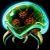 MetroidMaster01 :iconmetroidmaster01: