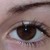 :iconmeuh-meuh: