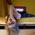 :iconmewithme: