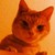 :iconmewmewrock33: