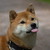 :iconmey-rin: