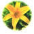 :iconmforks-wa: